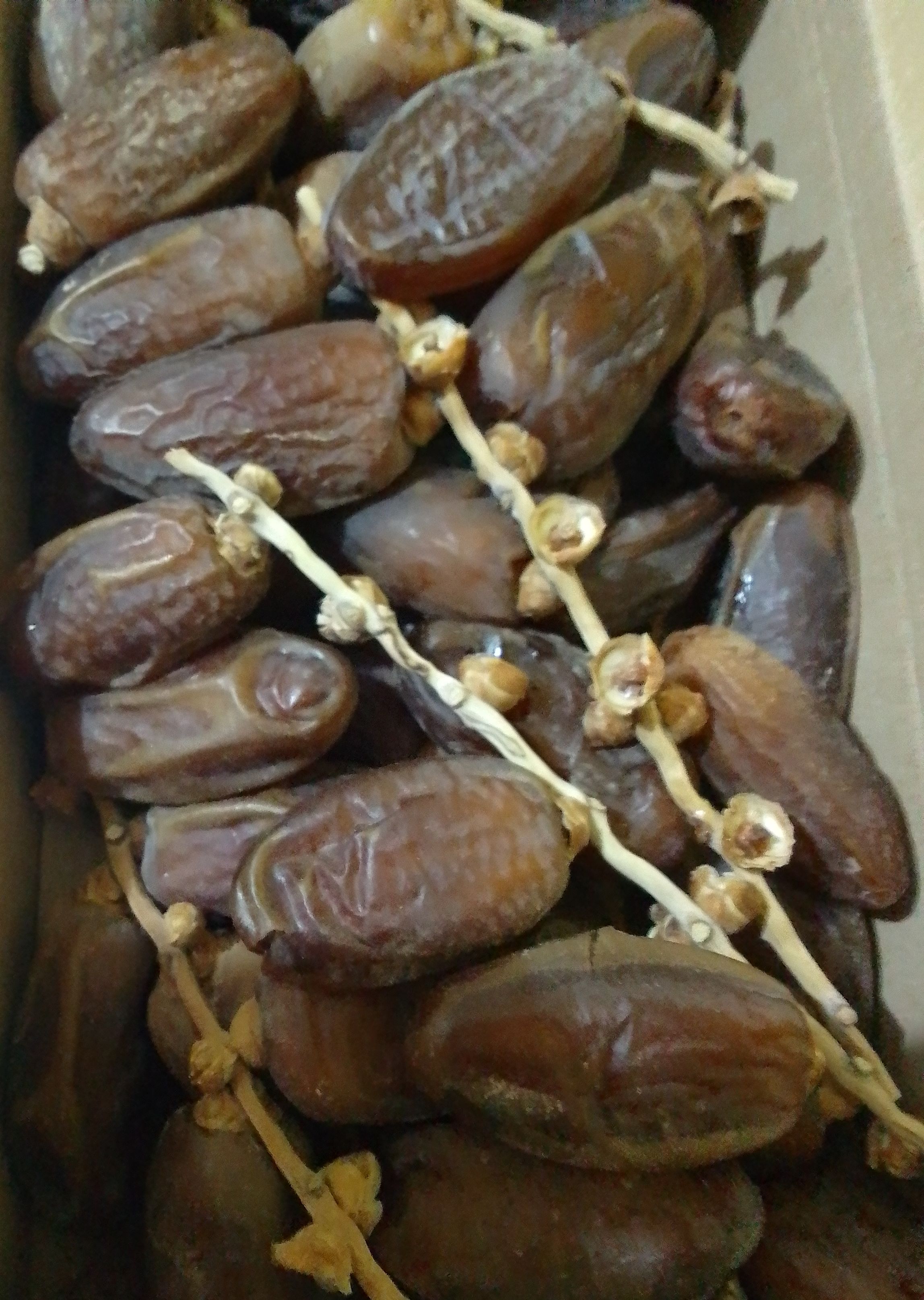 Kurma Tunisia Tangkai Palm fruit 500 gram